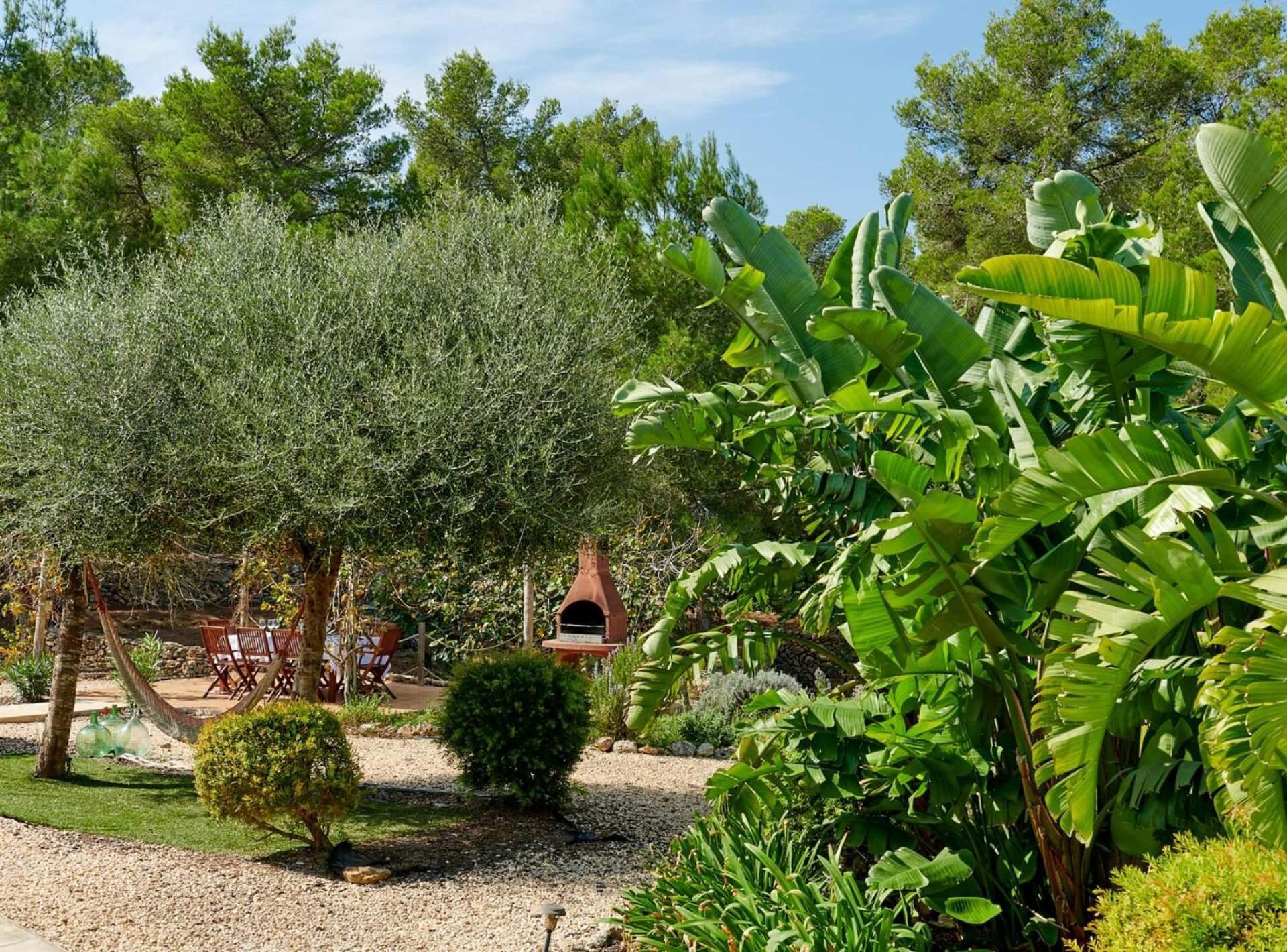 Villa Sa Cuina سانت رافييل دي سا كرو المظهر الخارجي الصورة